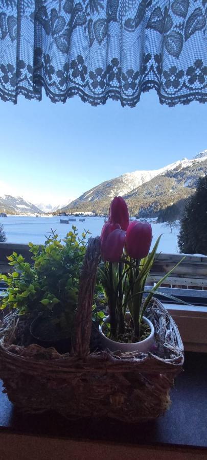 Ferienhaus Lechtaler Alpen Bach  Eksteriør billede